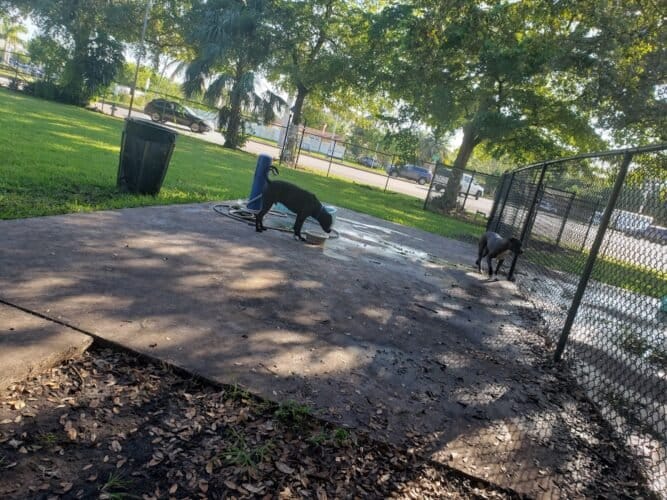 AC9h4nozRVqO4B30EBpEzIbmkYdHsYr HVNQZOTHcM ZuLNDXNbtTpHPKrqqz0LcQCNhscAGzsT3N1W96njzdDjaSkyG48gZ9YHtAmNKKx2uTH WI6jT9xsX74z15KF4SCtMduAGAr6 Lgw1600 h1000 k no