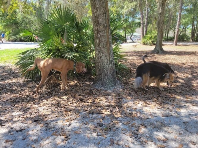 AC9h4noziqza7oCAXll2 qCUN5bfCXxCM3AVhNGJzhxTfrI iFKLRNWPxYcGUB5hv3ks0aE56TQBzSA5lE18ZGgxEqJngOPHr9Ex CeSJo19bisRC8rfBqmRSHLansZoGO6OdQiw5ufMMww1600 h1000 k no