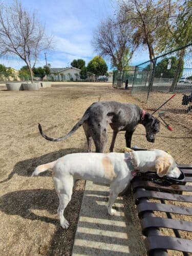 AC9h4nozkbxiqjiXhtyb9R3CDb8g Vj2z7Xy XiaSyEsWoz0gH6SRQx1Mmme arbNAIp2vb75RIW73oExLuz18ZyvyiuPWLOQuGIiDMwntLePTYbV2BGff1Xg61hfNsFkQTZt8i2cSZQw1600 h1000 k no