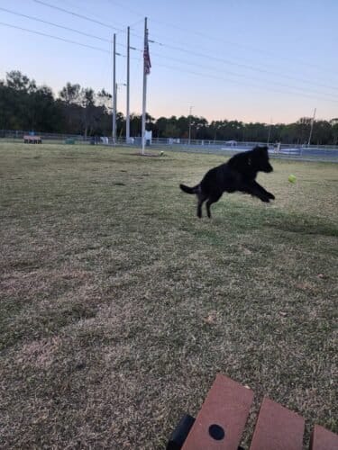 AC9h4nozlVhVaZ J8UAwGwspsBEy8XuOV6La4qV5yrXzgSSWlWGAv9oHxpRXsMk6 bj6NBvD0sBRu42d6Dvd ijh9EjRw2mgyv9 iQdp  xwhjhZK8i0A8ntk9sMndMuRhM3yYKuTRETw1600 h1000 k no