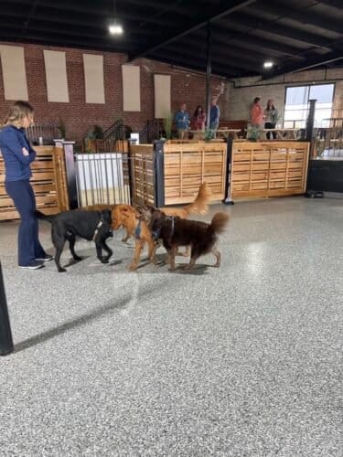 AC9h4np 6h3flRiqfvUgZ rxiYRarwcOpXwqHyX UrIIwD 0uIS5lfCAb1dkLtRSUTndsvh HiLSy naBSA1sIHVak0lLH7dt4ORpPnQ5AQudxTGARSMXVNk6hHuVne5ZDSX2t1cwWoKw1600 h1000 k no