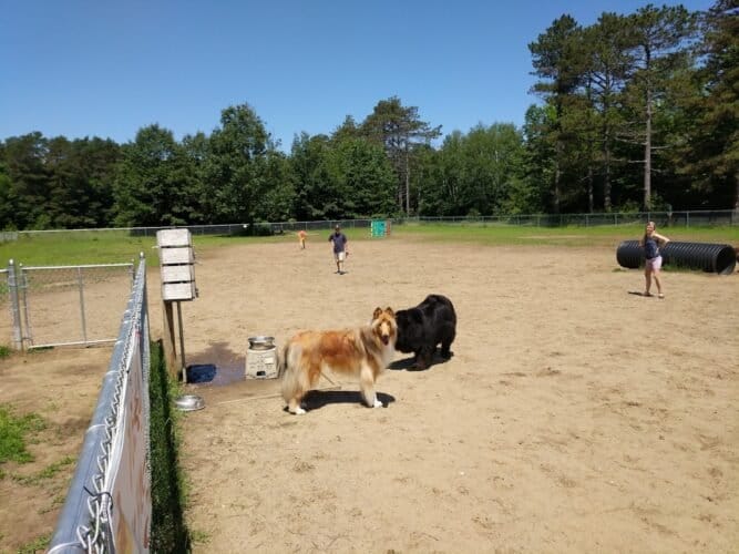 AC9h4np IiyZElTWAzY3mq xfqxe7 QskeoiYnDQaoPijps vrQlaumoKQcFFXLRCp57nbhrZN5Twldp3Yk2kxKiu8D NmDg1V07PCvzyQ fwfkuTFg0gzSyCc8 DZlvmU0xkAVAu30w1600 h1000 k no