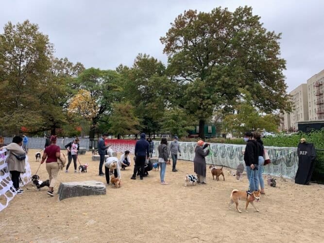 AC9h4np S569tfeYpaUoIKn7u619ePqgwMQddJgbkeTNKBzoNpqDwAmZQgV1i22mPDc27PyfiW6N7RL6pD1P7BGwXiyqIqHoO5QU9mhXNWUw1600 h1000 k no