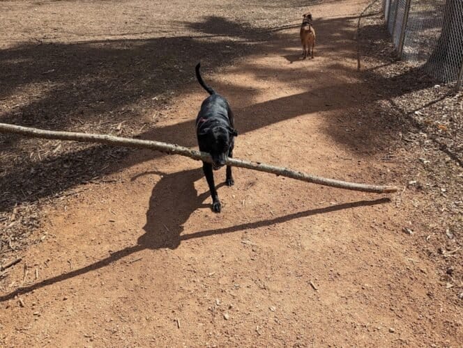 AC9h4np SzdAIDf5cisHN2zTndTkxnZ5uRhJptnQSCMx94amzkDj QeUx9zShHTurOjBC7TDnFalc3RwNTHDBMdMN89yprIMsl2WXZaMsfqq6 NjnTr3FznEmri9xAYgm5IKz8PSq J9TQw1600 h1000 k no