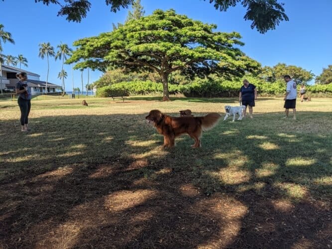 AC9h4np  PymmUVNhMbA1eDN8o6FD7LSR7wmYOHUl3JSKCR6YoqIDU8op iOyznsOr6c9HqKCXPSt900tLROwJKnVfFNG1X4y8mzvB0Pgh5zcJMfPEE4qn6FechYh7lVoncRzN8f0ozqw1600 h1000 k no