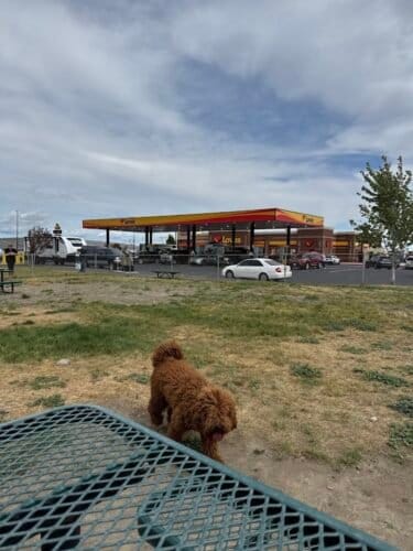 AC9h4np vFx5UG9iadiOJQTbdv2oR4YQFl 8vbVdWDIpbQ44J5VdW8VxLUjp2ff8LgDl0FPC3176 ju5OpqzE7eqqyZP9KzTrF 6qbq4a ucBsykKgLd K0l0cilMeosKixB68TFR1wqw1600 h1000 k no