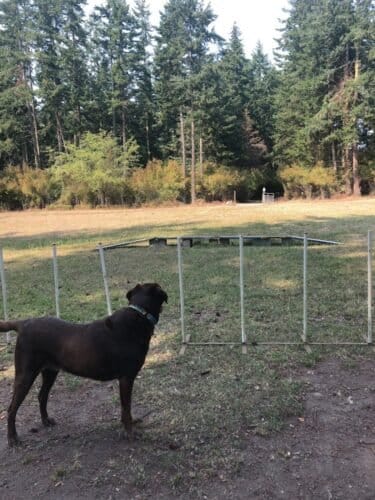 AC9h4np003 UD8o A2f5hh7Jk5gZWhwQFy5cB4EBoDpAjX5DeNrf4qIB3l6uBk8oNlnyTmPi6 2 iZ0t9g7GQR6a84cM5Tc4X XiBmiC1B bIQf4I1yBjFZ5wXGX1nzy8sAOvJybqXkmQgw1600 h1000 k no