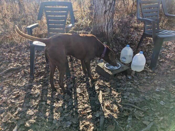 AC9h4np09E0GYNdegLoXAHQEqfUrBXc7RTuJNeEJvTXggJPEwRip7AMmjblhle0TNVu6YBAhypdO5Vyy3GOPn8KnLqVe5d04 4UMgYXln2cwci34ZNc2vaoz0a3 gRAly6fr5jQzP1wfw1600 h1000 k no