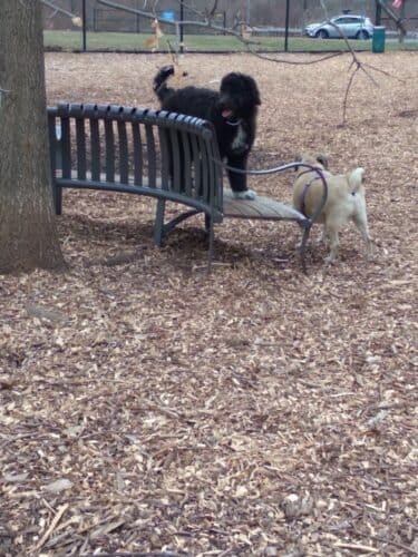 AC9h4np0FzXVQxsNTJPwhJnP45yMSa aJdm3sIILFQO2lSR Qm8qFfgHbUWpZBB h5RvbRYR682ZcqJthvp6Oh2ALQLRbifCgJU0NLc LhDEShXn1OIJL OnGLv9qbsFFYFt1HdDJDdkMww1600 h1000 k no