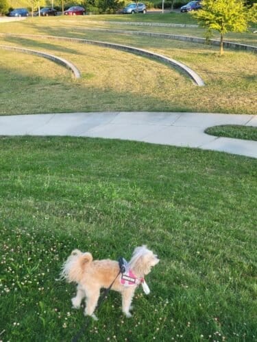 AC9h4np0TuljxrKKQ unfFthAooOqxGZlnlhIW8Q9AhScx26LDLdZr qFu9qUh3F2cKXtbw5VfjLQOkD P7LmeVLcfDO8J15wDu3gH5ywww1600 h1000 k no