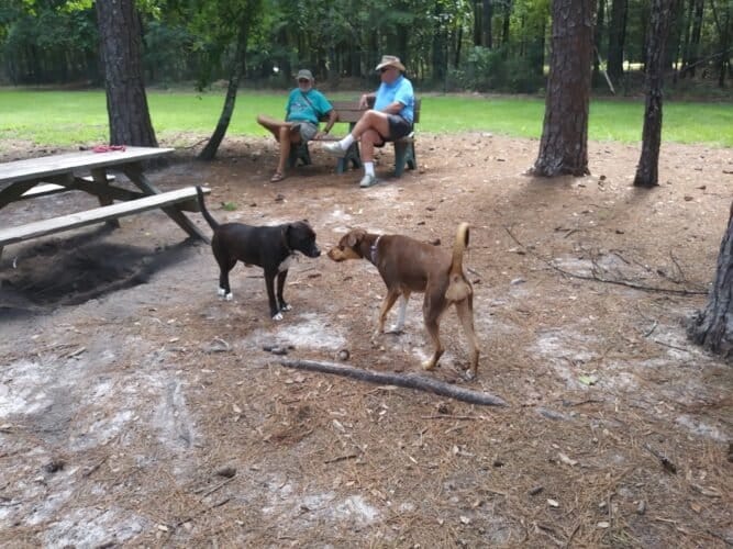 AC9h4np0djV7pZIp2lqud vbtyhKdzhsusmkOVPxIOVC80p0Fux6yrDb2NvY9npE4dNc0sV4NGF ARMimKd X4es5NiFBo74wOmH0H9BeF1rr39kt8AAtLAjdkeqSD4xe0WdHThEoDgRw1600 h1000 k no