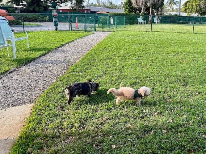 AC9h4np0hWd7CiTKob0uai0Q wtaFqDR55Rl5Ciap4q d HS2GDM4EJcFk8je5ALLqgv jRhIieWqrXqaL2Uzrg43mSMVRX Jx33BMjhgC0OVeMz3TCHm7ilWgdvNKgVc36t9XxmfLnZXgw1600 h1000 k no