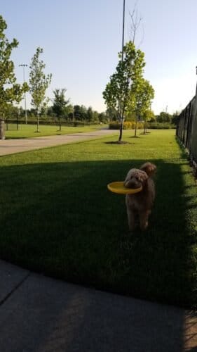 AC9h4np0onjWQCkSOSljZwC2JCEU0t93h6iC0XgcRNj8XiAmwRR7YPtB5xNo9pDd1zgYEj198shqV8rdX7UMzbCjLfeq7cj glvqnNZYXaoBexUgBtVcxRSpcJ1VZzWMUhiqIKvhD84fPQw1600 h1000 k no