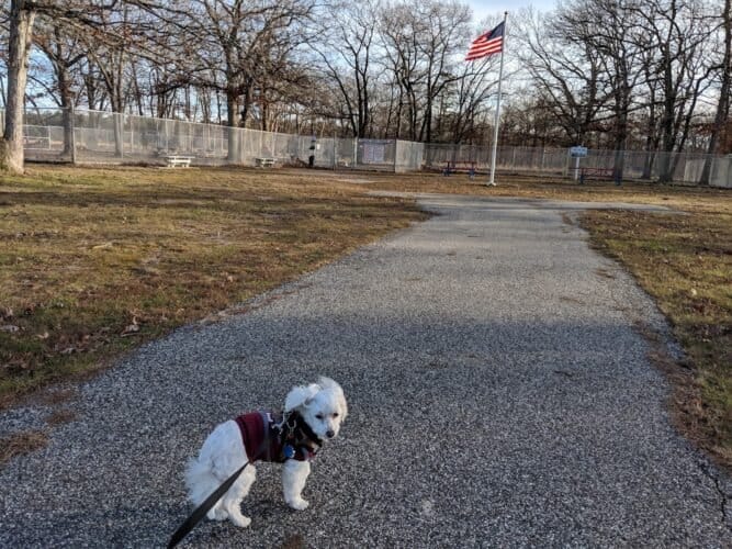 AC9h4np0tmD8x3Zfb6rClWykPPRRDURc4VEwb3v2plFCRaqvBEo 4lnIrpUCXM1x i68AVvcnb7N5CW W3l6sDsrJyjzxKpQh1aDtdcYWRiwVioWmFE1pXpe5WDQRr25pYGwQbnaD1kGSww1600 h1000 k no