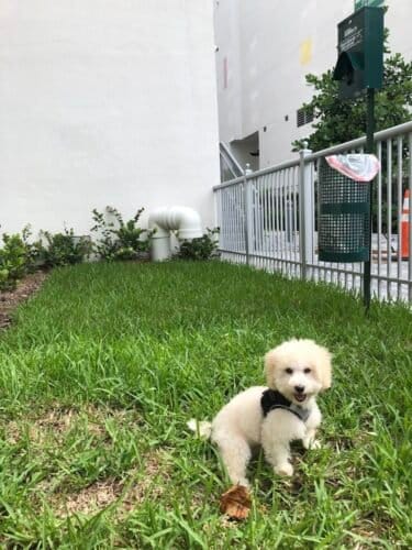 AC9h4np1FZ8YyyEa N28apmDUjfLJpw3E TvbWtkMtmLNHNF5f1lkMEWCDI4FsFqEo3HNSbHsf4d8AFDO7Zhyx7Pv 6QWv0uk0kc6o EOq06tLarQPTl5HmO5e6qD1PbYVoF0 VdfotTw1600 h1000 k no