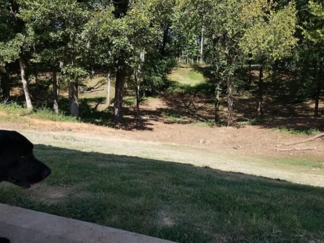 AC9h4np1QmjjfB1 xSqjAIwT6hJvHbUsIH3QUuRXhKqb Z ZybSqHDCKehBYTaWdQx0eCSC9wT6kNxUsZ0vNPHqKb suqjES mqxYo8dEBYao5HRRCO7jHnQgU1ukYPKYnlqWqFwD431w1600 h1000 k no