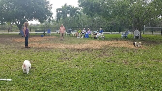 AC9h4np1WWMcaNj8s29bY6UinB3UqS6LRtFfgzlgqFhba3UwtNhMx6dwqt1rQDhCTXw5m8CrSsGFTt2M 8wq lLa piT5N2Fu NsZUhh0No5KcxgE2uP5UvmysbXZjqNoYhKQxEo5XqIw1600 h1000 k no