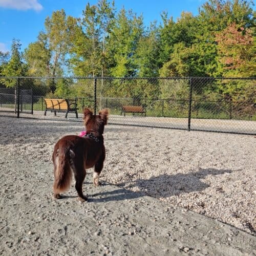 AC9h4np1gmh20akaClUfOb8PGa6SWL0xrR0QqpdQkSnV2zyHNjViW7uK vDH5NtBN8qVlL0N1zVedaPh5SKc5eOuQZPbqi1xznRqp90VgZtBUQH exW Yjy Nvon1FlwNE6QCLnUxCQxw1600 h1000 k no