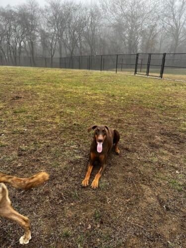 AC9h4np1ouEB296yu6n5HMSAZXa rP54XxE2OWrB NIFWmRoxGqcxkIDddXJHdQaX xvQB7X7CcJxQEQaF2PtI qx2vh5 hWOClnUY6N4b3Xr1KtZn9IZYwS45vOgGQNMg nud5RPygnw1600 h1000 k no