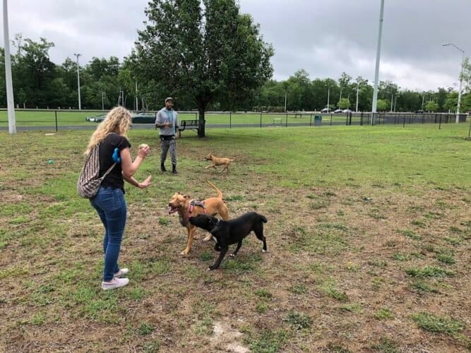 AC9h4np1qjxM41Z761zxrHX33LZZiA92Q7Dd3iwXoAUUlwNit6aUI1YLeLeKb6g Be0t9 WDx4o6LeZfR8EnZGMMzgYbbBnmaA8O2pSh3hVRUFILyTSXjvEjojdZ3 i9ADFFIh5Vreopw1600 h1000 k no