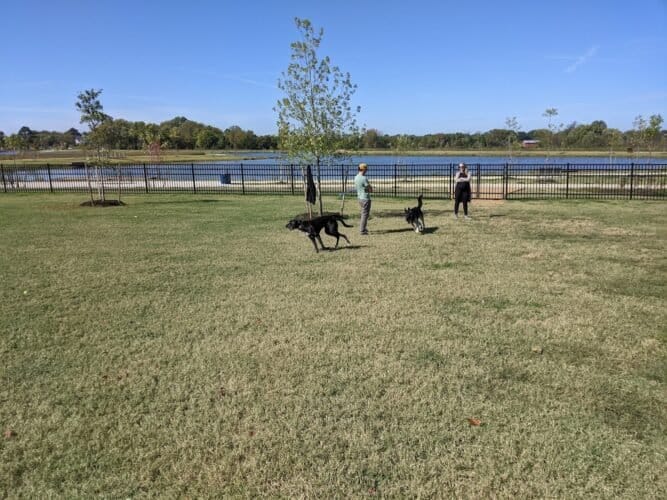 AC9h4np1sCEWuX Q84SFpXhjNPef qQBWXXtR Y6n6Oq3l73yUHcFtwpQ05A2MdWjujFdRd4kXMxVheBuqhLryqN7X3VYZEsBZ1WdIrtVs OqVGdhi51oUDXGGSFmzf llHrpmJ9e8Iw1600 h1000 k no