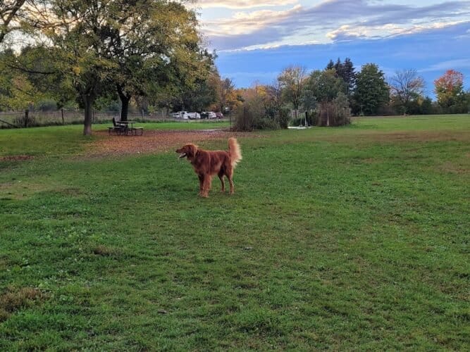 AC9h4np1waKJad vpRbS wipOrV6ID bNco7 8CMy9H0m9CAzyX9JAs iy5CS6ISSRHEaia3IJrlVazpT3KJorT0WR00OOHHhS6KvaTeY1ZWdOpNTkh1P9U22oZxbLNDi vJ0FPhbScw1600 h1000 k no