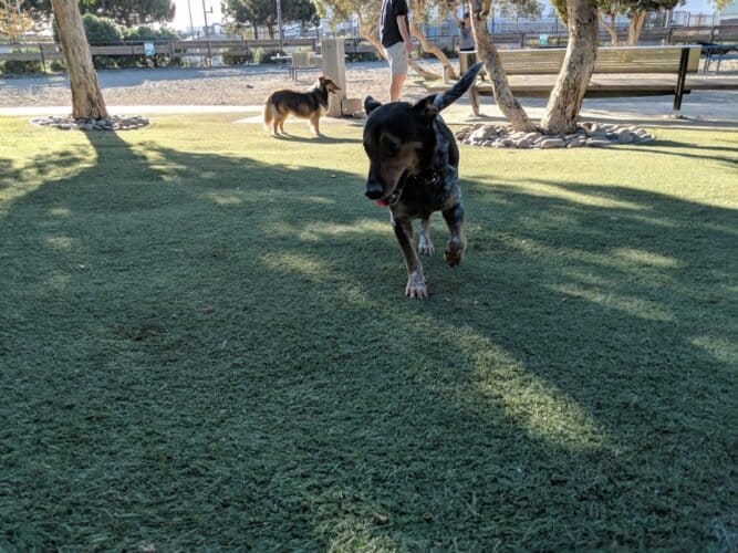 AC9h4np278YLfOQK5bbKikPzBQPqXTS2pC ABG1yqZ3mYTgyCYLyF3KYfYXj2giKJSITMUQ237KoegygxNPCavPKEONJS222azAmW8Qy4XLT0o7dTIExMwX k 4zV3M0ZjuVJUsIvtvHw1600 h1000 k no