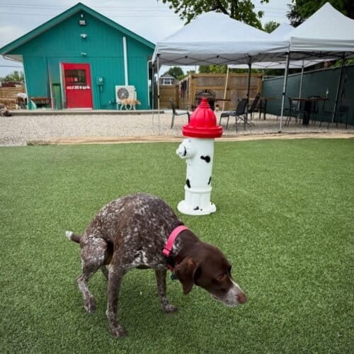 AC9h4np2BnoLZAa9DQ8Dg4fFbNPcp42qRk0tagLFiWXlv3uSW lOHOaUgRJm9SWA0oY4qzJT0wTFKodblS9B4ITtnWbpiDgwECUKdhWPmocCSDUGnMChdtbnUUhu7D1J14PltYUp9 Kvw1600 h1000 k no