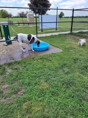 AC9h4np2K2rhywByCZUYCz7T VavB2yS7vgWgqi8uix XbQzr0yCBkCbDzd2tc1SYWwetXJhj1ZWYzNhCbPnJGmNc61nelNG8HOgQrTWyjOxBCXQ vA69Fsp9uC234BKYbutozpmkBGW3Aw1600 h1000 k no