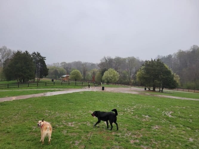 AC9h4np2P59Fanysb1Avc0gSaU58weDRgESXrvGpIxPMZETpQA3kPb6CRjGTakt1foSq8D7hNvvPqfvmoOTSKvtKlGqL aKPDQ er033qVSHRgRAOPtAnQssTEU147dG5R8eE2BvX7DCWQw1600 h1000 k no