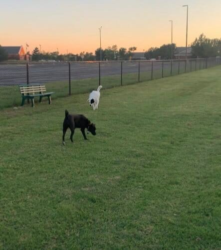 AC9h4np2PqbqJvBlqzFmiXEFiBbSuPX5JmjeKXNr1bFpWkIvcJhikc91qa Ccm45u6y0iexYPAd2 oq MRecOEofoLAG0NbtAW dD 4SYx15SdzDp72 p LDXbqzEWXVNoU3UcLyGXMIIQw1600 h1000 k no