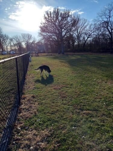 AC9h4np2d9d8VYEgW 9COAOQ4DVNDODNE9hKz 4433zH540OuWma4LMgSmArtvSHcZS8x3B9JPvBOlYIo6eVJxV2YBZiVzj4JyUJY0 36ejd2bASlFNZAtN1oWXE GHBsHbz9VIyfe80eww1600 h1000 k no