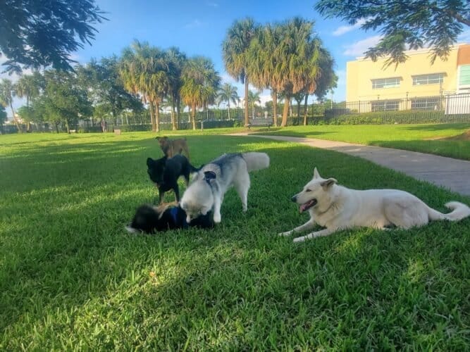 AC9h4np2iXEtbmNwTyYbVpgPZ9fNLjHOL7Ec PdGsdf6541YZr7B3yM86ojkgQafiKKYsMg9OYlglbxfurkf0WBZRNsyEDZoBH86Xa4 QK1PeXG1fgiv5UMCWi0soIbOpcguOiCo1xnGw1600 h1000 k no