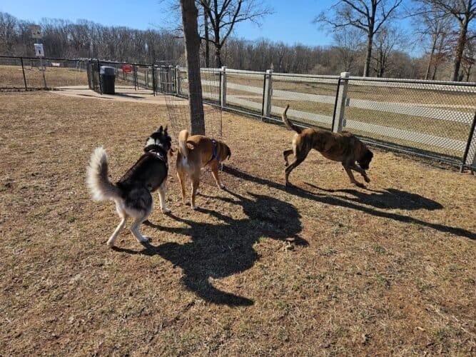 AC9h4np3UTl3e8I2iRLxUKUE3qtv 76bFRukF 7K9NwtI01DdH jB3cTUx8mHTJ9ynjP2Y1fYATblxfwNKwkL2aQKt4IwhioXjAYDV7qF1nY4oUH9ww1600 h1000 k no