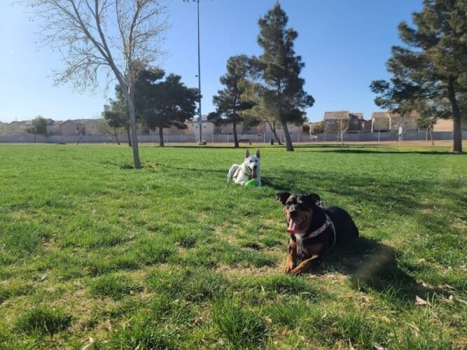 AC9h4np3qYZHrBa3llWPOFfGea4LM1RozZtWjisGJZUDHq2S4XPsMzzeYwpEn7 C5tx248jdMq tMUw8uUu1l vpD7C720Y M9NlCZp3AwgvzsPdam9JJ9JuFSh0AGtWDsEYfb4iwl4w1600 h1000 k no