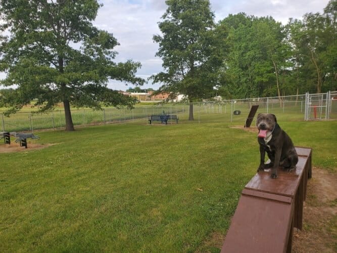 AC9h4np3seT0uQ8AIsihIe4bTieTr7agbHbo3N7hFpCtsVFl61Z1q7I0a9 kVLueQhdGtEmeqTLm5TzwznEFQGOQaxXIEFiEUnbJAvSvZZxsTUm2acZGIOYKOx5AE7xvV5mQT5gr ux3w1600 h1000 k no