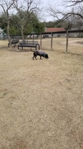 AC9h4np4 vU zHZgjem0kU8ULAvc81i5hCgoVrdHK8JeWCdRaaeeF3h9pGfCRkkF0AF VOwpUjhhAt3H7 WTzpuZeST0HhC8Wy8XFYBuP37fiFo5nHzebQn 08v9RFd090a7bVjRRHsTw1600 h1000 k no