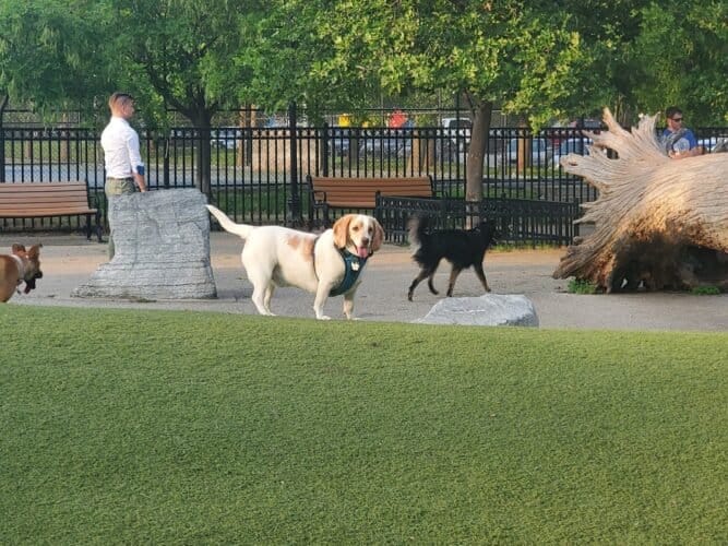 AC9h4np44lj0Ov1WDr4YSTzbbJvqMMGB9SFqEpIfk EjMemjFJkXo u83UpFBnG3zR0jSV6qWh63WtdsBlQdvgwiMf5zhU19aR21EFhwIpdAhTLoZ7lFmBaylKNRoDCVxWeVSVdX8faeuAw1600 h1000 k no