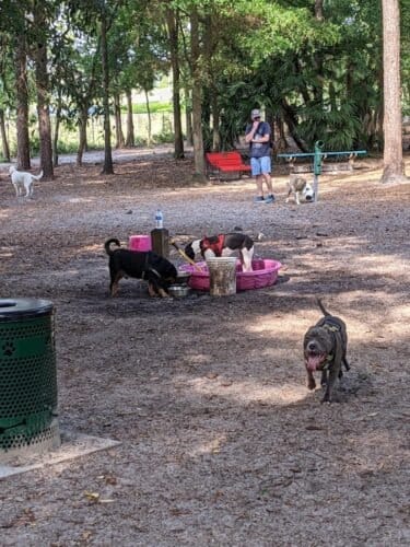 AC9h4np4EZN8kdwI6L0AAYWnqPijVG 5mBT EQ4I2aPupcDKgBtlytVIAWmiDt4HI5j9ePLzOeJh4hGQCSNsy3yr1eem9gspjuY5qkt0MtAgN7rzjfIvN0idAOGBUUzWS Jn5xHrbD0w1600 h1000 k no