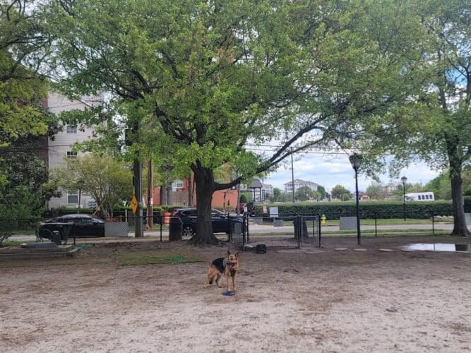 AC9h4np4Q9nXOtcT7DkDWHgA1pWGLc9hEV1jAMTE T1QcLp8E8PNuKsI23gnRwj Tm9ZgRVoz6qUN568RoQuWYFEYUQO lFc3ad9hXehO4M5zjuFtx9PC1WdpSuZPPO1BTQHWjEqU0zv1Aw1600 h1000 k no