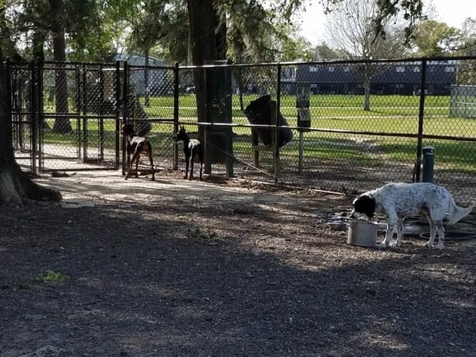 AC9h4np4UGfumJ6q1Ai7XJKfpGB7qmuKwy7h8DQ ktvsYRB2Z0IZPH7s9X4Bm jVMnh2Yi3ERFpeorT4Yro2cgoirxzYGDqrCnHqvBvE6Ycw1600 h1000 k no