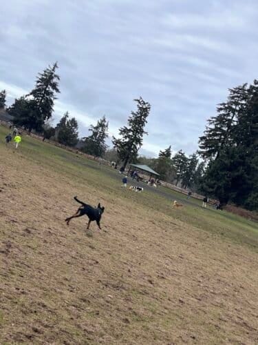 AC9h4np4XuLJ2ILs5GRdAj2efipenXHFez H8DILr2 w5KH8pIQ8od20KWWsw9tPLIu3M8OU9KkuqolJ3T6GakmCt2RD8BrtNf8QM Yllzcw1600 h1000 k no