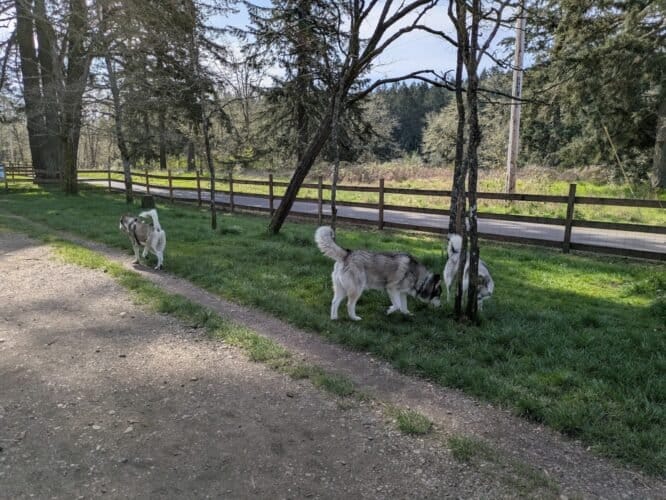 AC9h4np4 gQXb W4PYHFvMY1uGGYuFtGu0iRUlpiWJ8YJ6WbaOsAxUUIl52MLFe AVA0 qe5F 7bUUDZGgcfjJZsLGc0qWroMDq DNHdM74zRDbGi9EeFdmJPVaxiSJk8mjrmFdl2c27w1600 h1000 k no