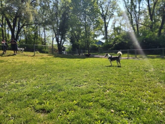 AC9h4np4ohCoA7 ZvE6rQdVKB JX4fMDoX7RqyHpAX Luqw884Flqnm00 fvsxG7lXCVus9k2D3Ur2GrZW9XTZOhszzI6BfYESQ vbT6uheBxQ2xe8jEEF2X8kCDUH2wBIcoZatdKbz5w1600 h1000 k no