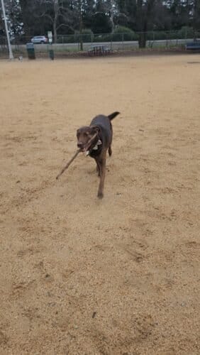 AC9h4np5C Phv2yx003ojBlnh3t7qR26wTnSli9bcJYTasjBj P2Jk3lfcMd3x11KrLsKIotidIl 7eBagkrlr8M3egTDBmz5XJgiLiCwevlqmPQ1ZL2412EAXRrNzyMju6jBl92bSUw1600 h1000 k no