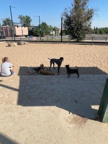 AC9h4np5C0aDM3MUhRYlFDoacoiguKrNL192LUjbCj0 o1m2KRi0j D2HAJbFbWd ugPPHANmGDZ1AnIKy iKc2SNa8YotEvXswpEmoJzOphUqlnQ8LwRzI8GacrmUshQfkmawmGf86cw1600 h1000 k no