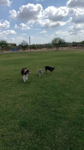 AC9h4np5TGYIoJVC6BFUlDE8Nu6QLkeHPgkB dG0WiImzT0Y lUkgWEVVJzBZ5ka8GpXIGEvj6o ja89sf2uexD0iMeUtTLaNW uCZmbc9lBS ABBgz59QJs KD0k5HyKyMRJlcnM7Aow1600 h1000 k no