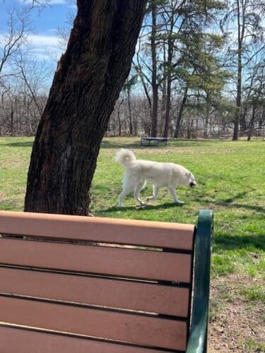 AC9h4np5rgz2ky1ES gbBNTqEQOI5MdP1L8CAw569UYP6JDojoXnD8S86Z2iKnBhh8qvgIgSYiefeag7OGwstd5Mov6ablri JZBZXb d3vbHcv1q8W1EQx92f3Tf2wtq9eg8drcmce Qw1600 h1000 k no