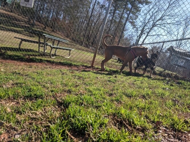 AC9h4np68jzuu5BwtlZZnEhRSg7PM Ki88 CqBS8AUPXVGuHzEtw98 w  i2yiEkX QWqweV08zgo0nnW9SsORDW1mQdyA8D t6bvvyRJnVK354n7Cwln3HI949D6LrPNmXAh6FrWTRHggw1600 h1000 k no