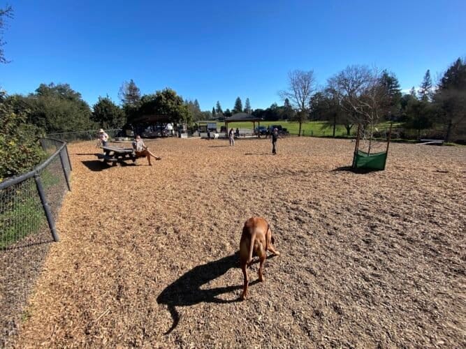 AC9h4np6C49MBOk3VQDAGJLR0 uGmmYWZtiKX99 bQOVdw1vDowle4jk2Ic PKKqq9dcUfQBJKvpmyEeDB JUCPIZAPi K2mKIccvja ylDv uVkHT6MYJvEo6whURcU9 YkgabLuBPhjgw1600 h1000 k no